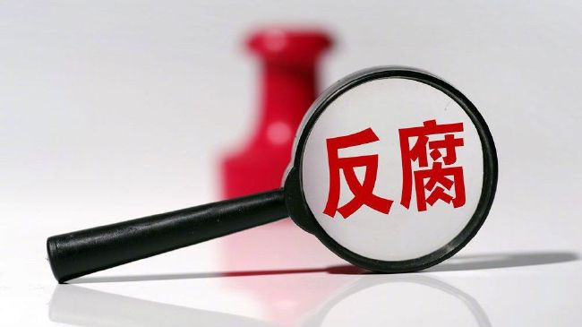 我儿子的女人