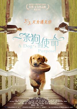 美女搞黄的视频网站