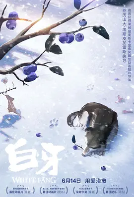 高清欧美不卡一区二区三区