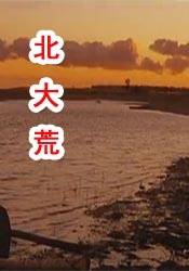 国产一区成人