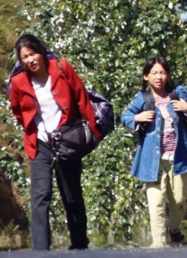 免费a视频在线观看