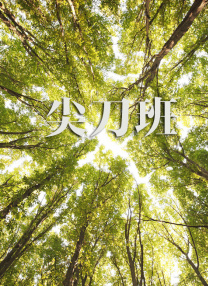 欧美一区二区三区视视频
