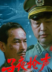 国产精品久久久久精品三级卜