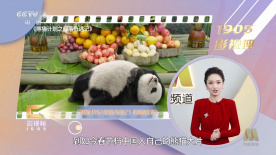 内衣公司女职员